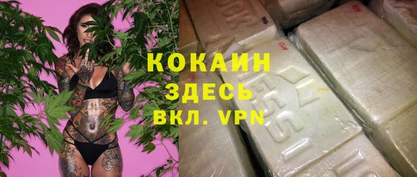 Альфа ПВП Новозыбков