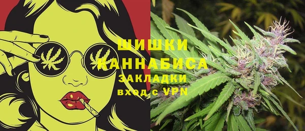 альфа пвп Бикин