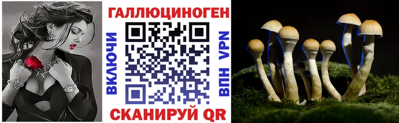 mega ссылка  где найти   Коммунар  Псилоцибиновые грибы ЛСД 
