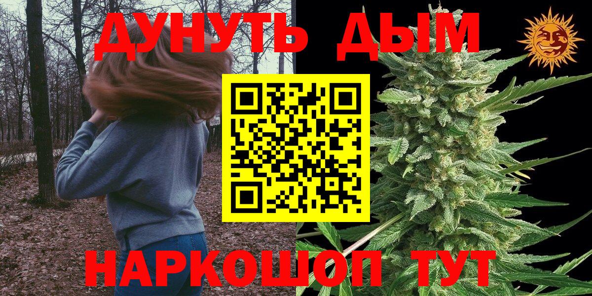 Канабис индика  Каннабис SATIVA & INDICA  Конопля план  Коммунар  МАРИХУАНА White Widow 